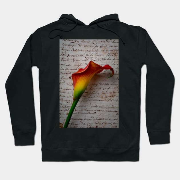 Old Letters And Calla Lilies Hoodie by photogarry